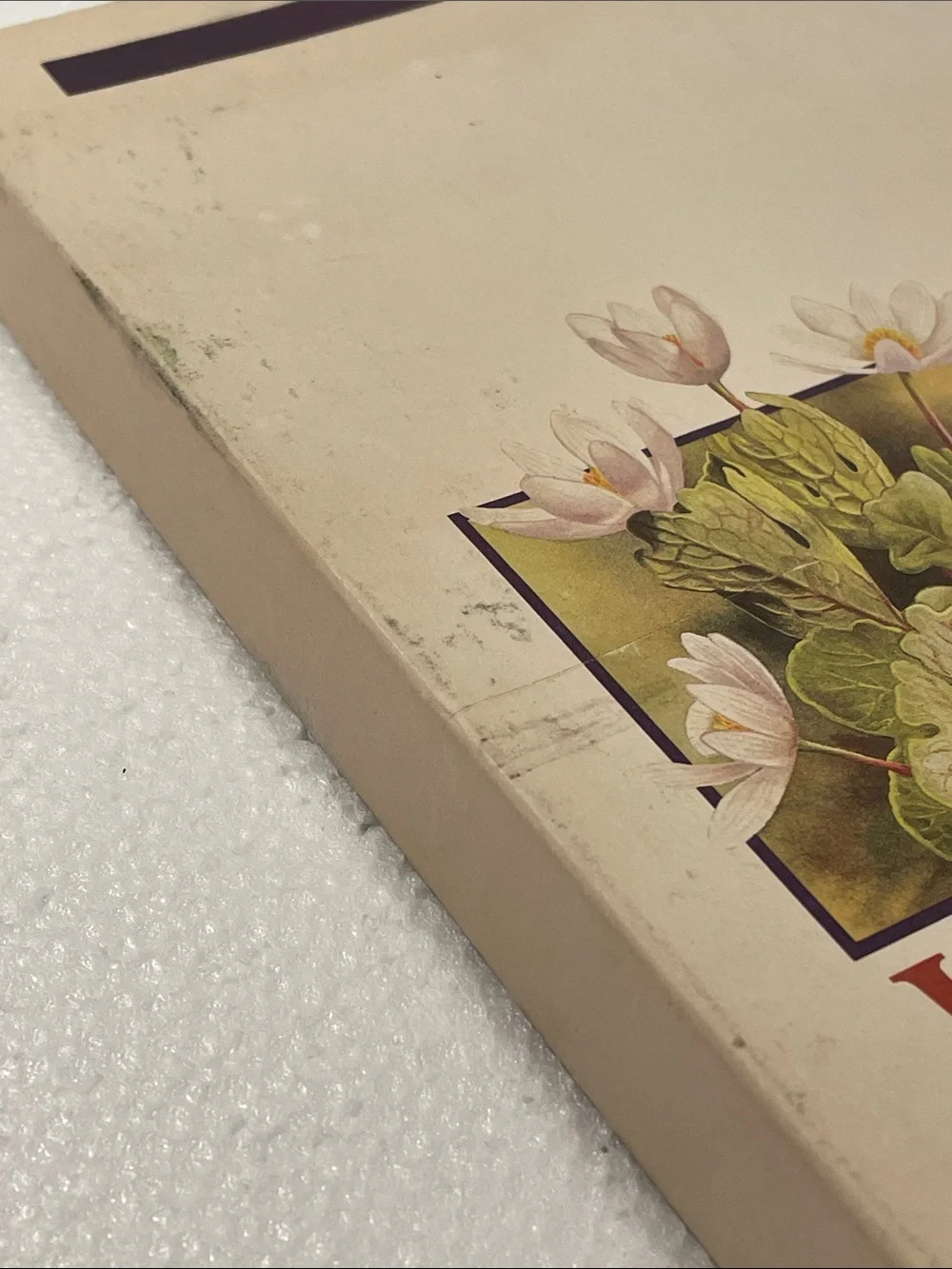 Vintage Wildflower Stationery
